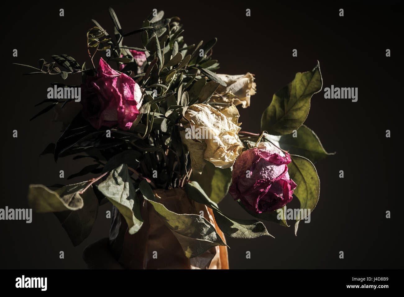 Low key roses hi-res stock photography and images - Alamy