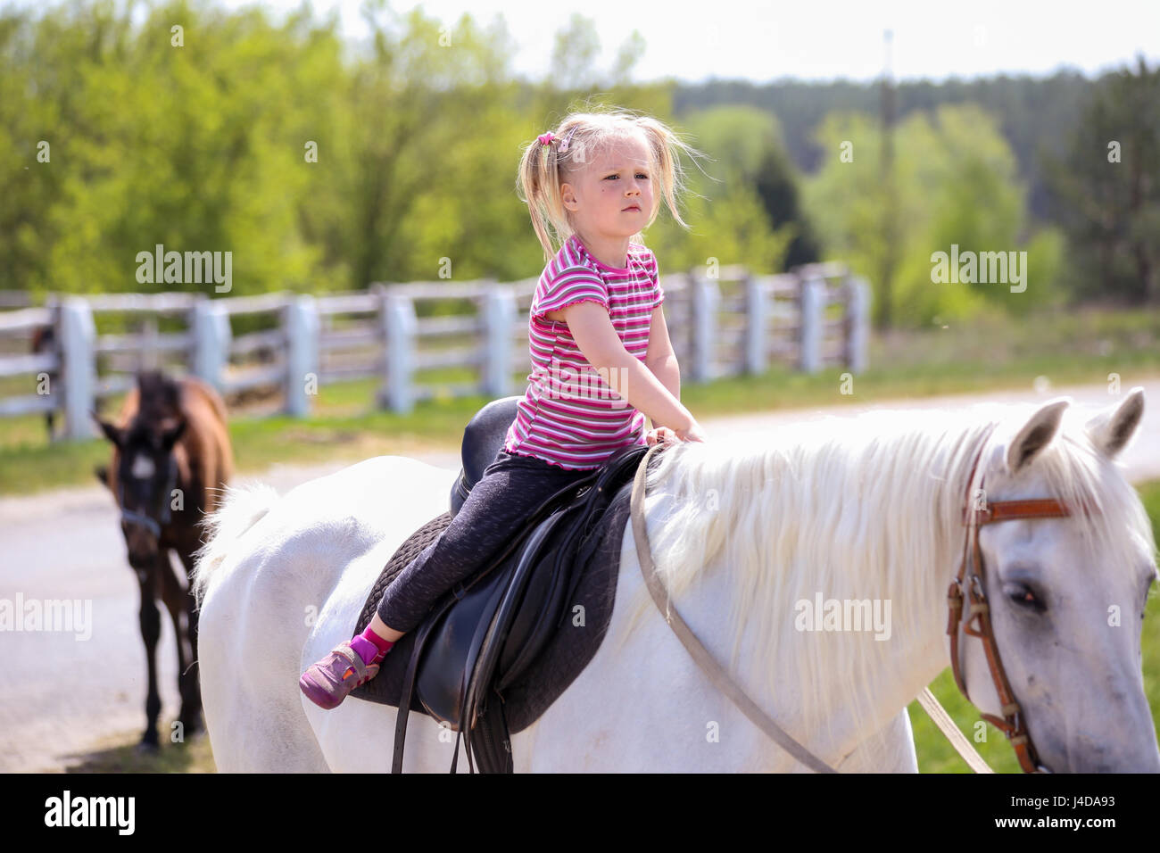 Little girl riding a white horse Stock Photo - Alamy
