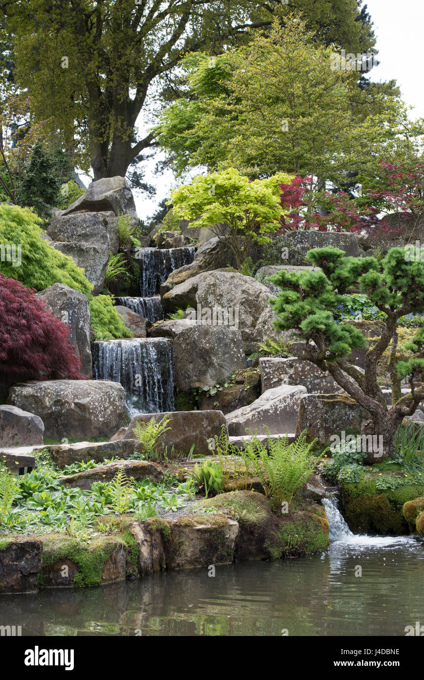 Waterfall through the Rockery Garden at RHS Wisley Gardens in April. Surrey, England Stock Photo