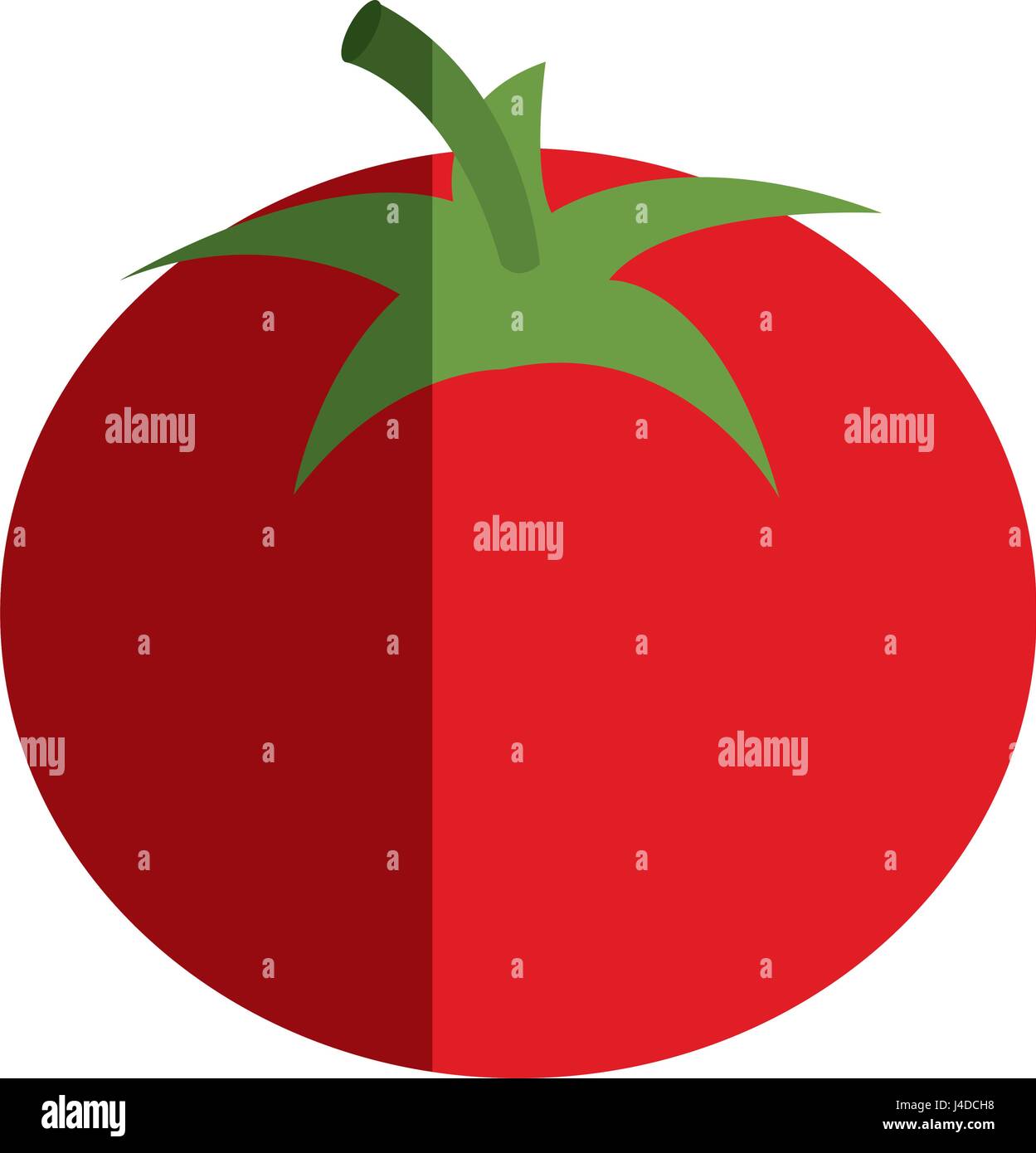 tomato vegetable healthy food Stock Vector Image & Art - Alamy