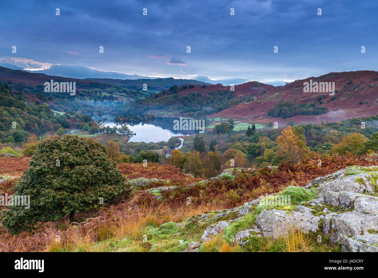 A view over Rydal Water from White Moss Common, Lake District National Park, Cumbria, England, United Kingdom, Europe. Stock Photo