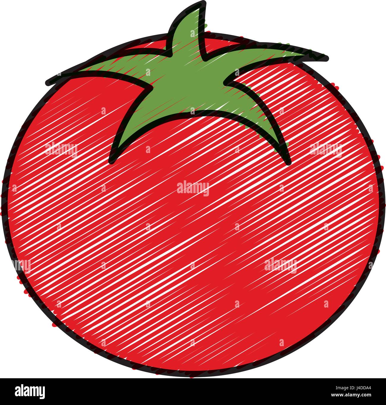 tomato vegetable healthy food Stock Vector Image & Art - Alamy