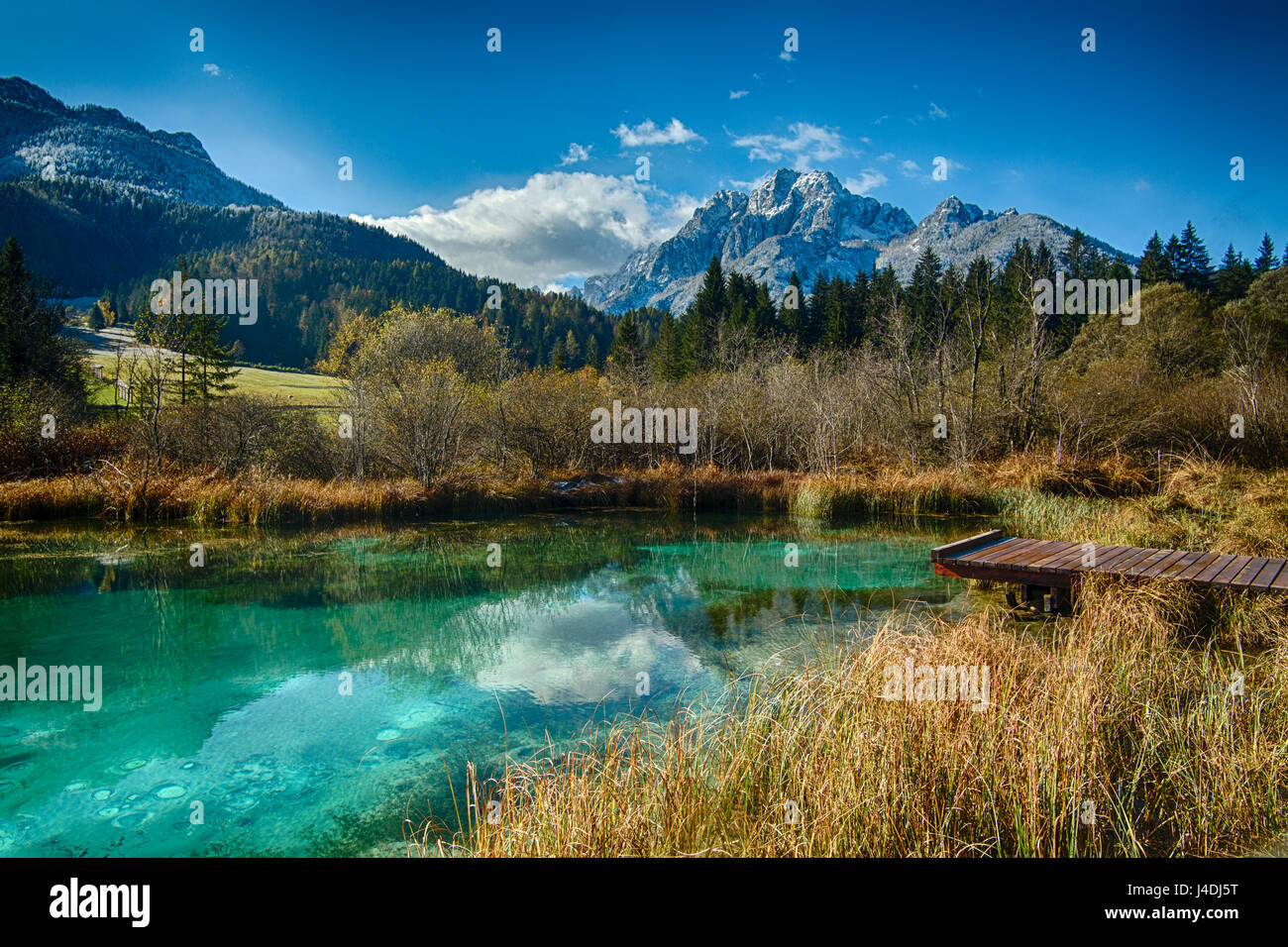 Clear turquoise lake in Slovenia, the Julian Alps Stock Photo