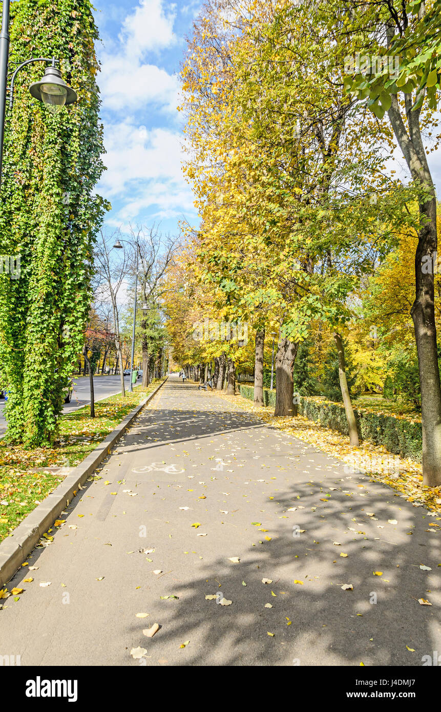 Autumn time in outdoor park with colored yellow orange trees, leaves ...