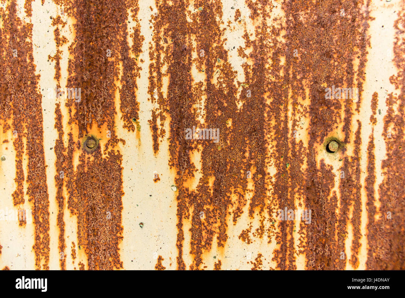 The surface of an old painted rusty steel sheet. Two nail heads
