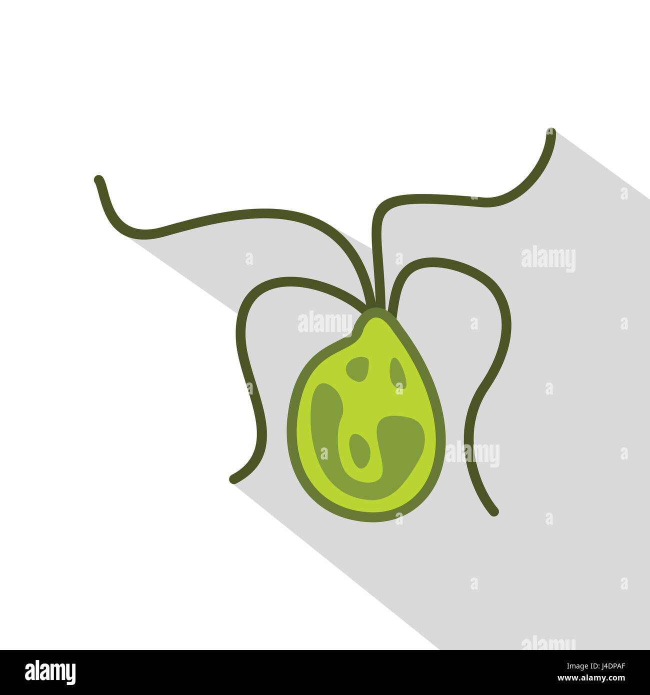 Bacterial cell icon, flat style Stock Vector Image & Art - Alamy