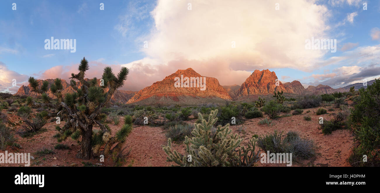 early morning light illuminates the mountains at Red Rock National Conservation Area near Las Vegas Stock Photo