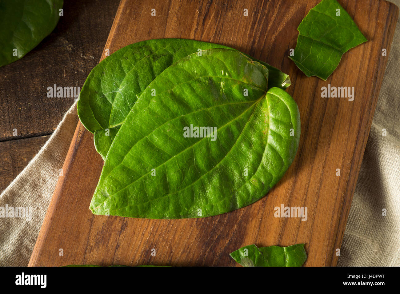 Raw Organic Green Pan Leaves Ready to Cook With Stock Photo