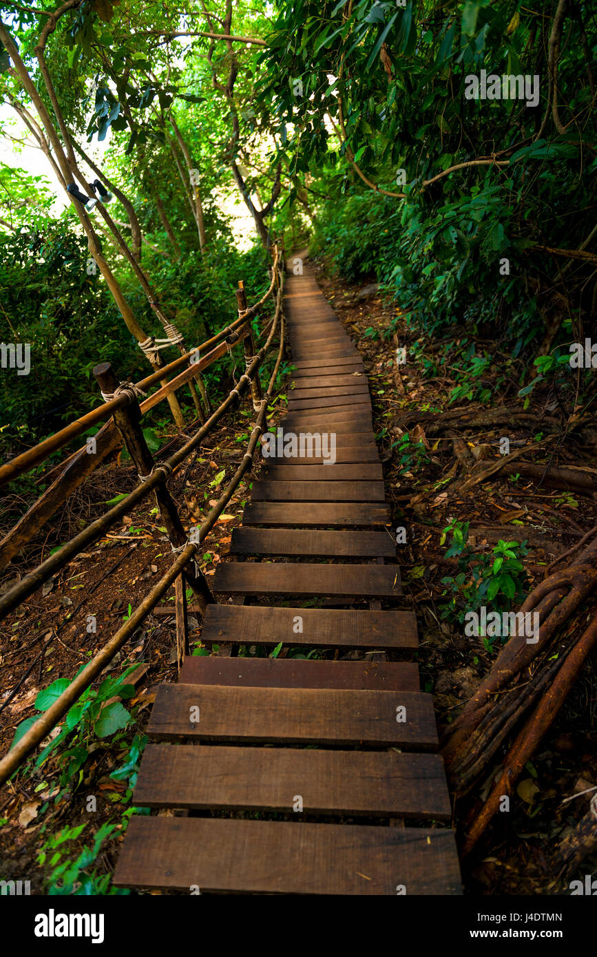 Tropical mountain path hi-res stock photography and images - Alamy