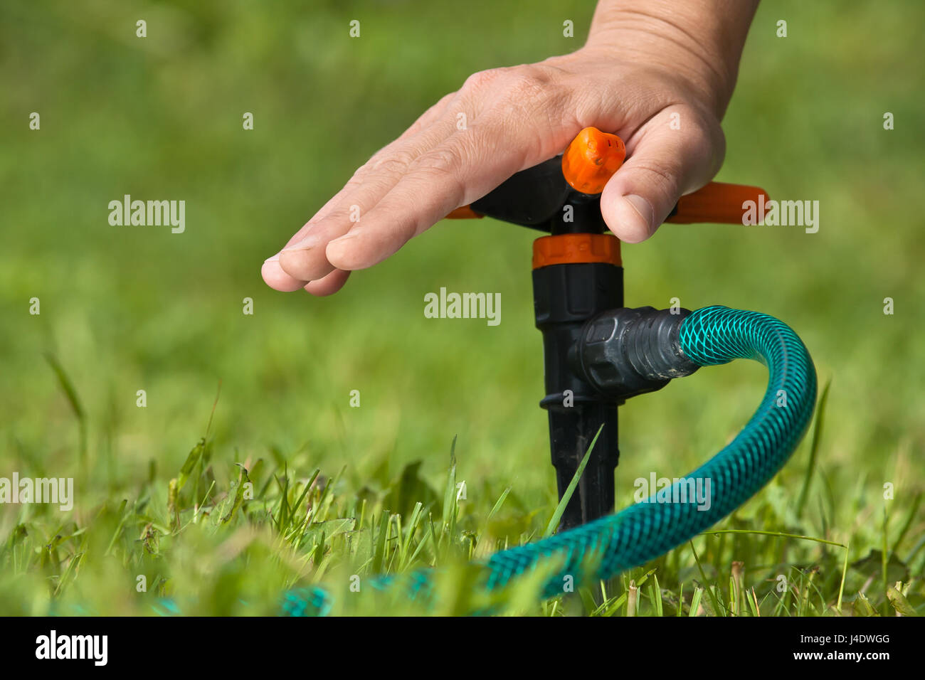 hand of gardener installing sprinkler for garden irrigation Stock Photo