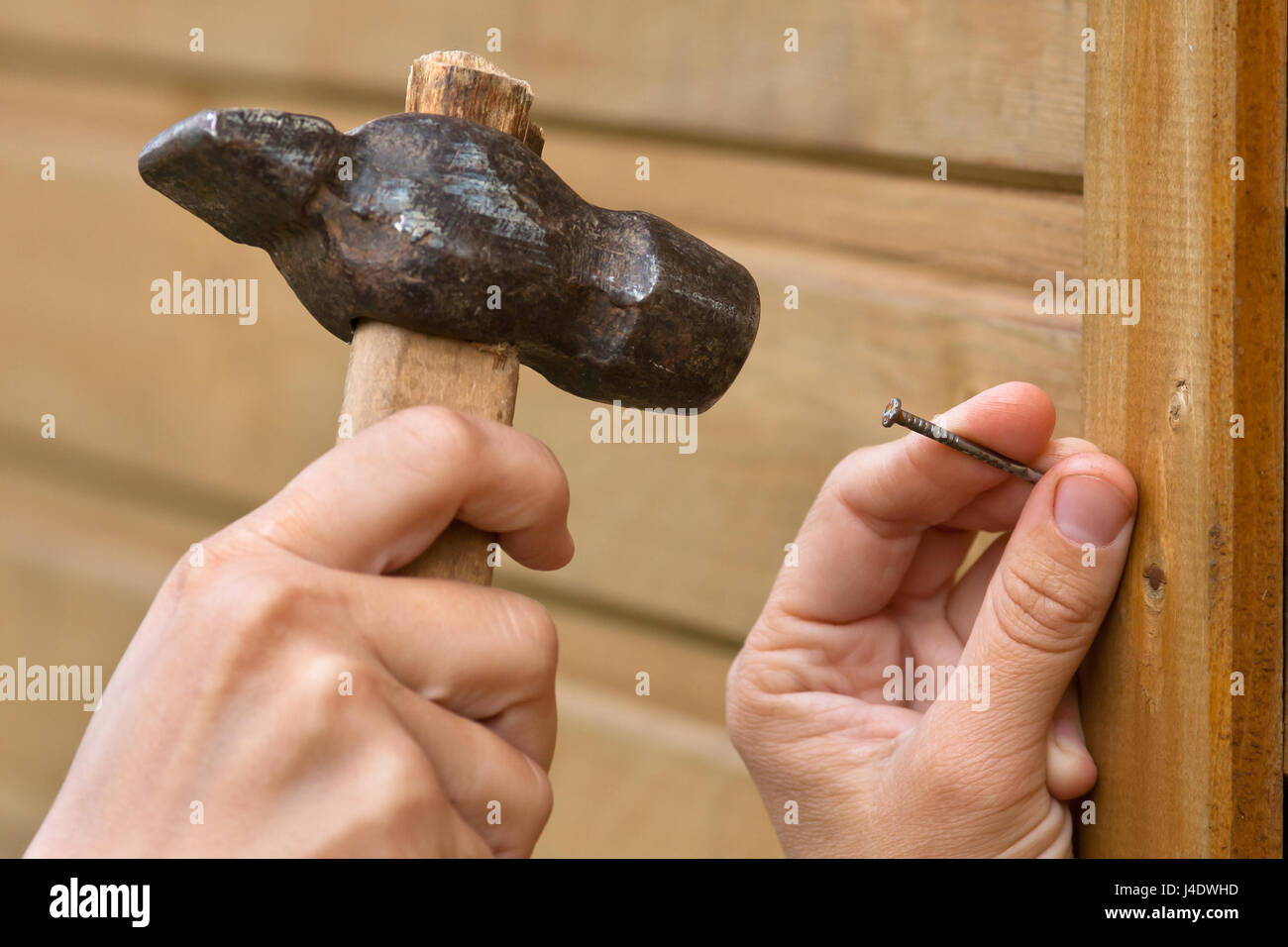 clouseup of hands hammering nail in wooden plank Stock Photo