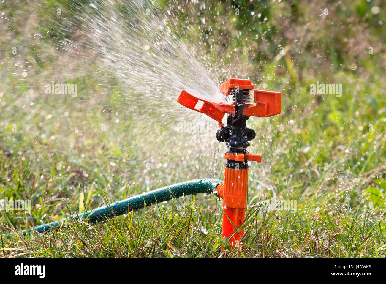 sprinkler spraying water over grass for watering garden Stock Photo