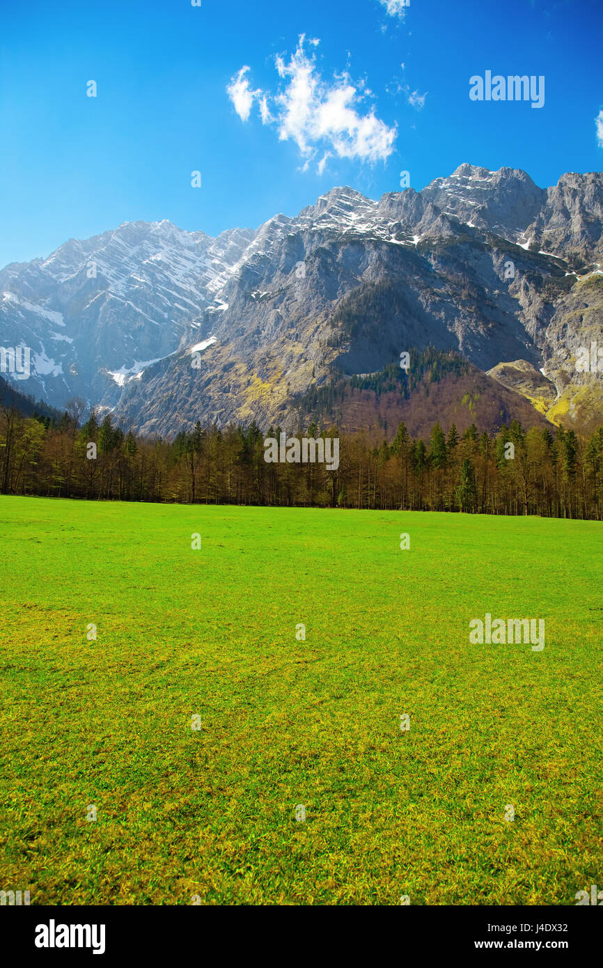 landscape in the Alps at springtime, Berchtesgadener Land, Bavaria Stock Photo