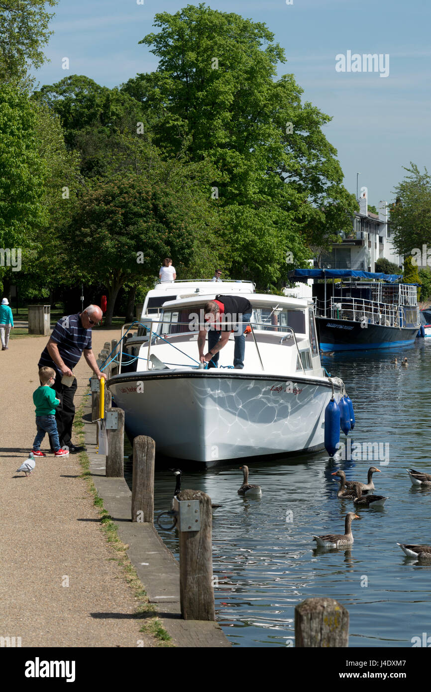 Alongside the River Thames at Marlow, Buckinghamshire, England, UK Stock Photo Alamy