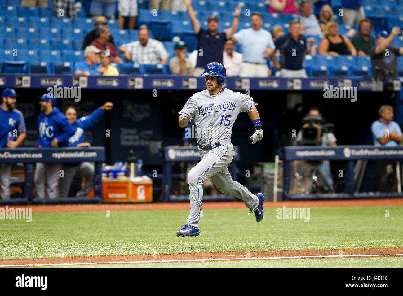St. Petersburg, Florida, USA. 11th May, 2017. WILL VRAGOVIC | Times.Kansas City Royals second baseman Whit Merrifield (15) scores on the error by Tampa Bay Rays center fielder Kevin Kiermaier (39) on his single in the eighth inning of the game between the Tampa Bay Rays and the Kansas City Royals at Tropicana Field in St. Petersburg, Fla. on Thursday, May 11, 2017. The Kansas City Royals beat the Tampa Bay Rays 6-0. Credit: Will Vragovic/Tampa Bay Times/ZUMA Wire/Alamy Live News Stock Photo