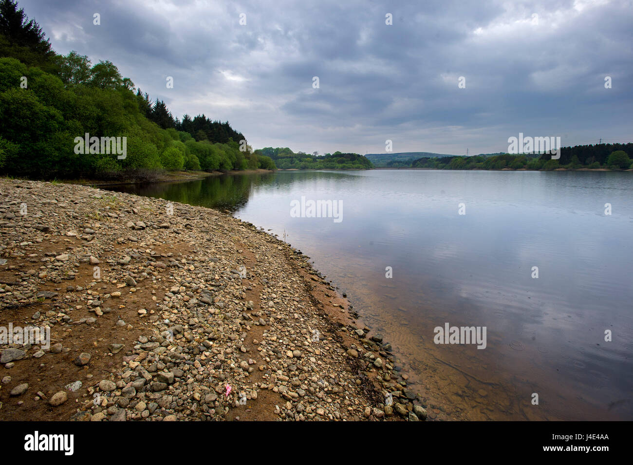 Blackburn, Lancashire, UK. 12th May, 2017. Much needed rain arrives in the North West of England as very low water levels at the United Utilities' Wayoh Reservoir near Bolton, Lancashire, are in need of replenishing. Picture by Paul Heyes, Friday May 12, 2017. Credit: Paul Heyes/Alamy Live News Stock Photo