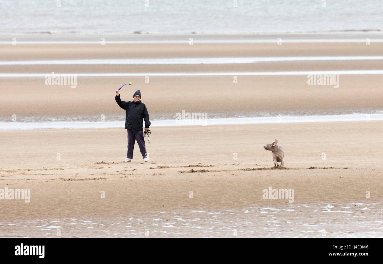 Denbighshire, Wales,UK Weather - Cooler with the chance of heavy rain showers today in North Wales and for the weekend. A dog walker throwing a ball for his keen and already running dog on the beach at Rhyl in North Wales during cooler weather Stock Photo
