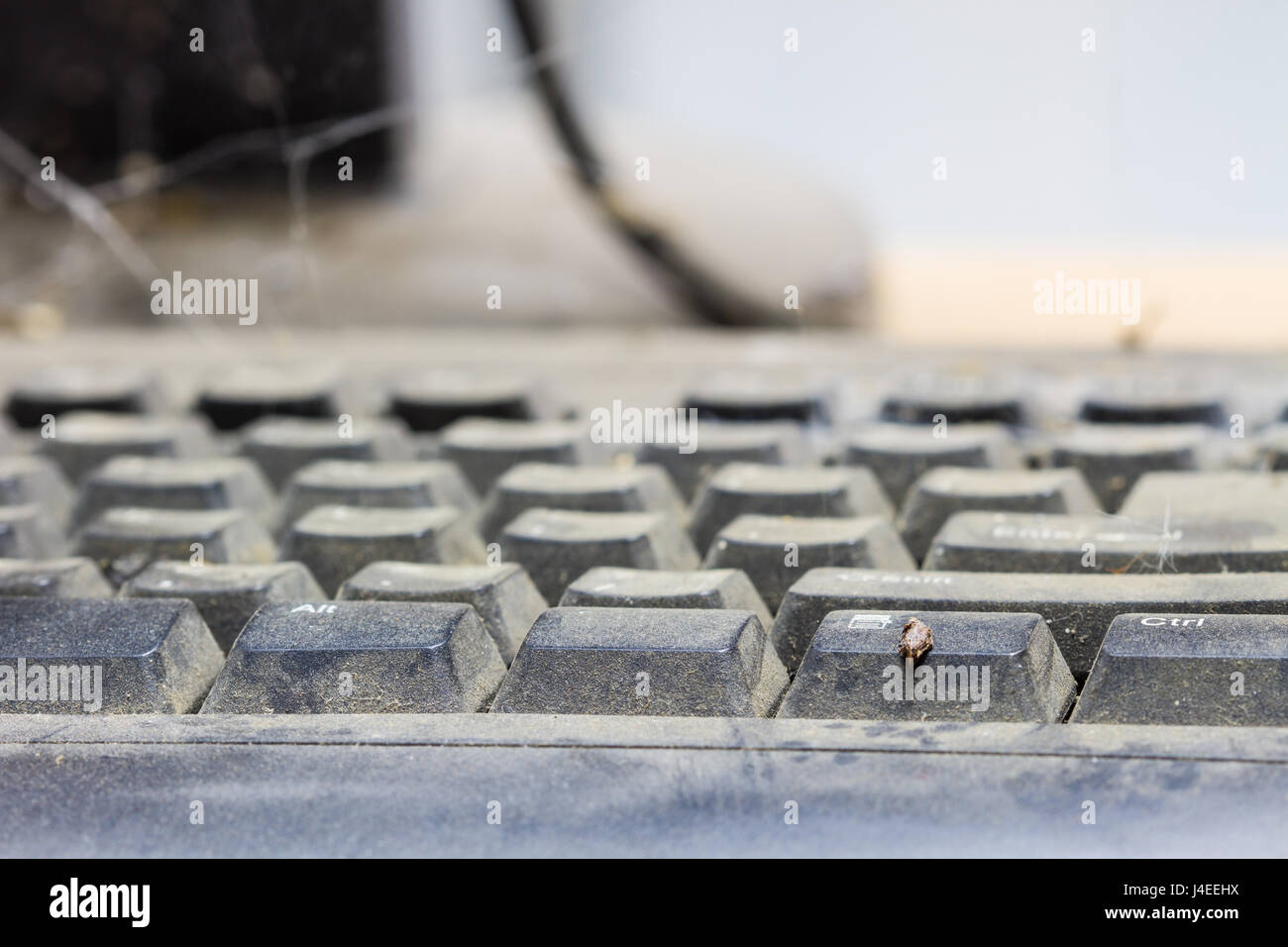 keyboard, computer with full of dust and cobweb Stock Photo