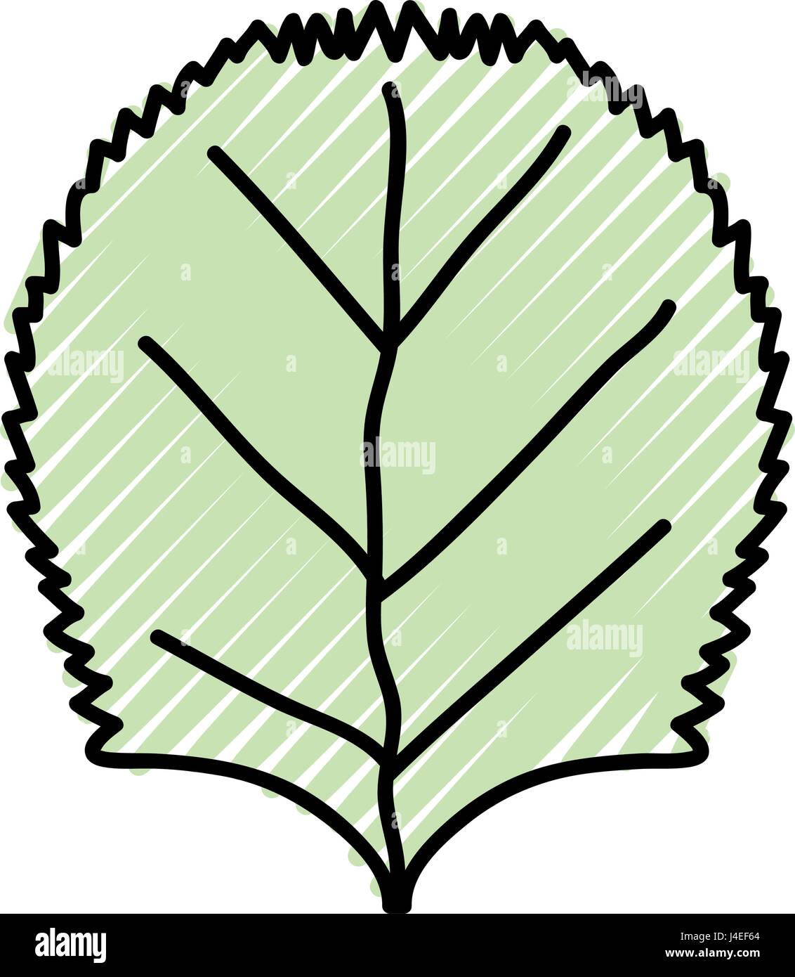 nice organic leaf plant Stock Vector Image & Art - Alamy