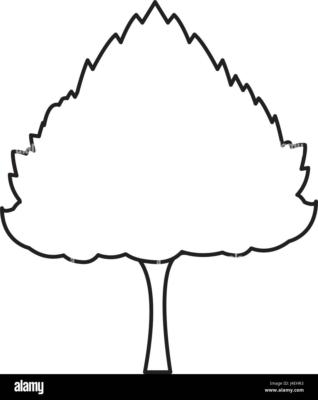 Tree Line Drawing High Resolution Stock Photography and Images - Alamy