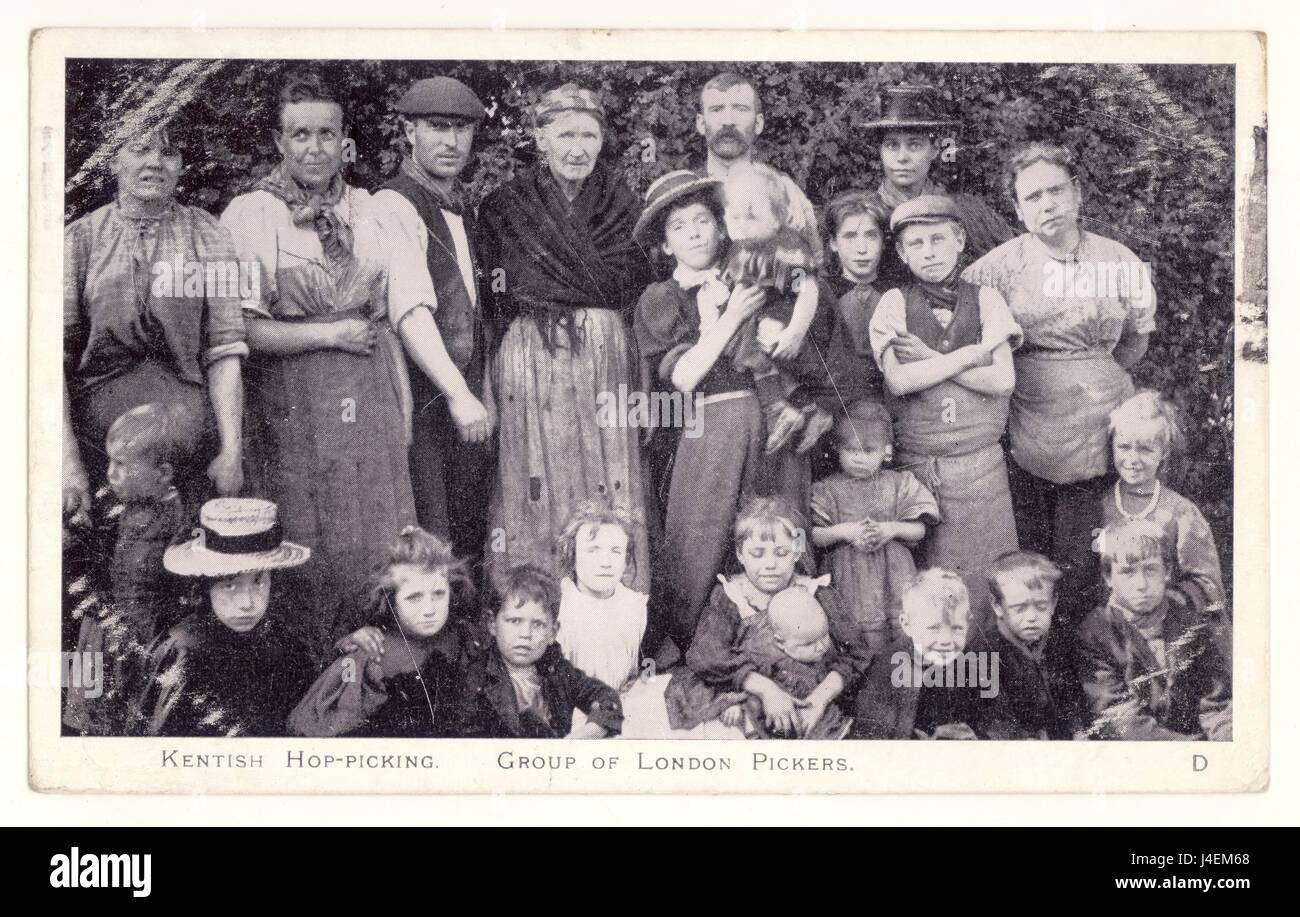 Original postcard depicting Kentish hop-picking - group of London pickers, working class poor, several generations, old and young, on a working holiday in a hop 'garden'. Edwardian / Victorian period, circa.1904 Stock Photo