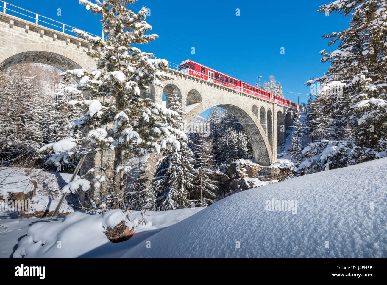 The red train on viaduct surrounded by snowy woods, Cinuos-Chel, Canton of Graubunden, Engadine, Switzerland, Europe Stock Photo