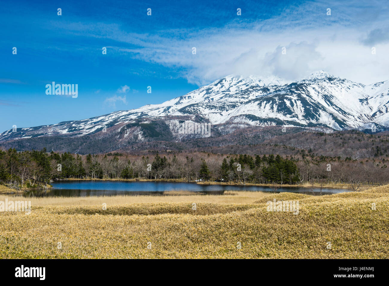 Shiretoko Goko Lakes, Shiretoko National Park, UNESCO World Heritage Site, Hokkaido, Japan, Asia Stock Photo
