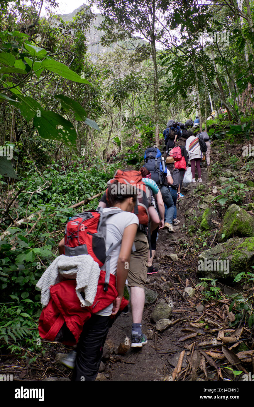 Travellers walking the Inca Trail path to the Inca ruins of Macchu Picchu, Peru, South America Stock Photo