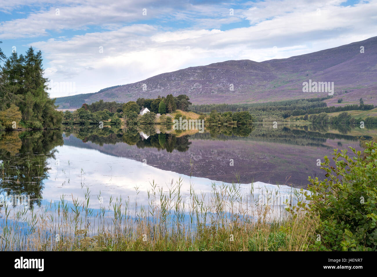 Loch Alvie, Strathspey and Badenoch, Cairngorms, Highland, Scotland, United Kingdom, Europe Stock Photo