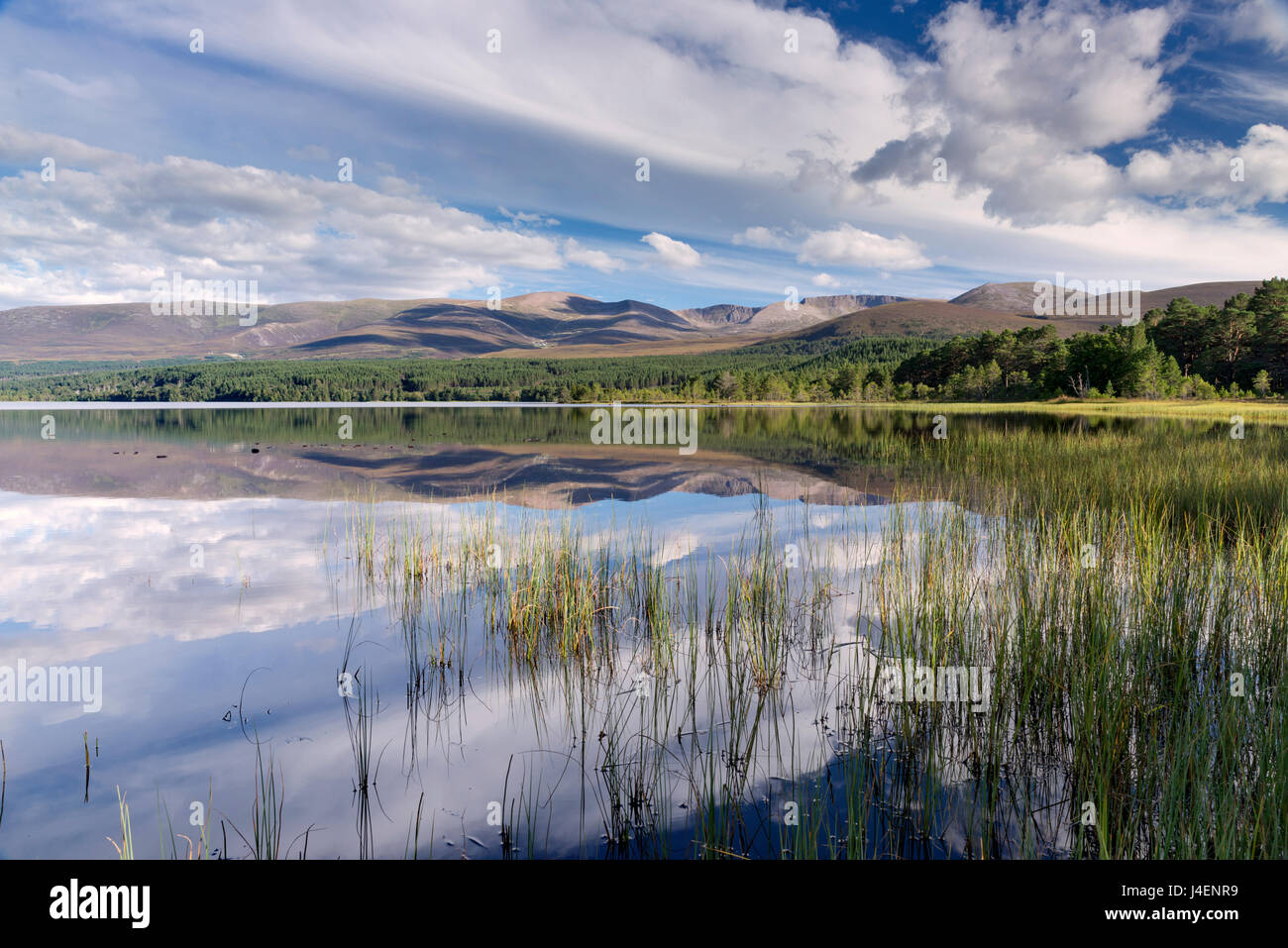 Loch Morlich, Glenmore, Badenoch and Strathspey, Scotland, United Kingdom, Europe Stock Photo