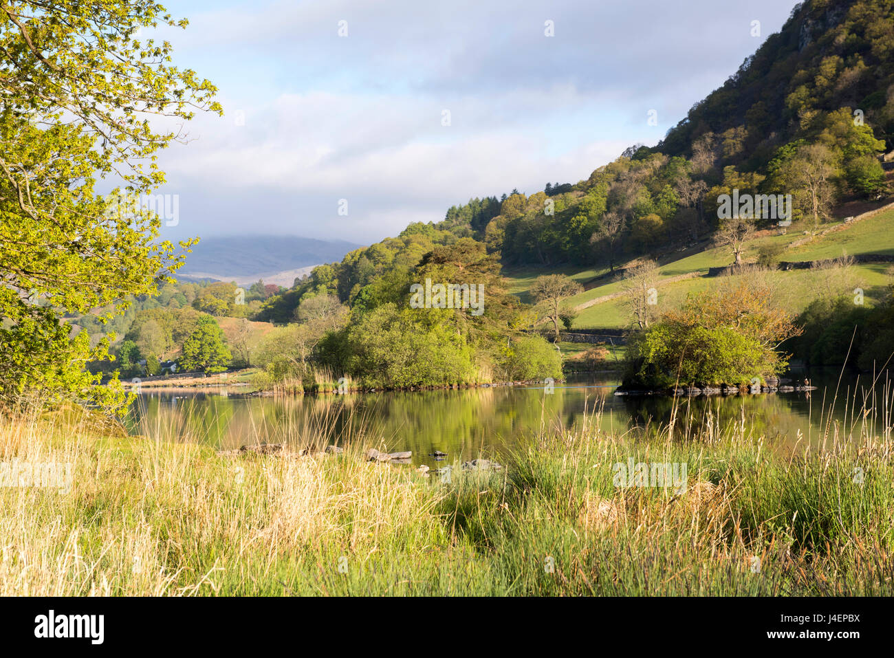 Spring morning on Rydal Water in the Lake District, Cumbria England UK Stock Photo