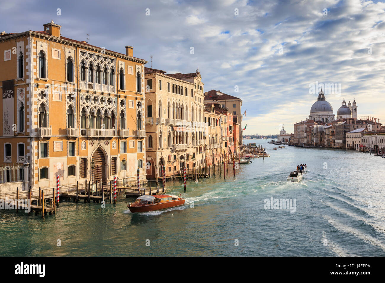 Basilica Santa Maria della Salute, from Accademia bridge, in winter morning sun, Venice, UNESCO, Veneto, Italy Stock Photo