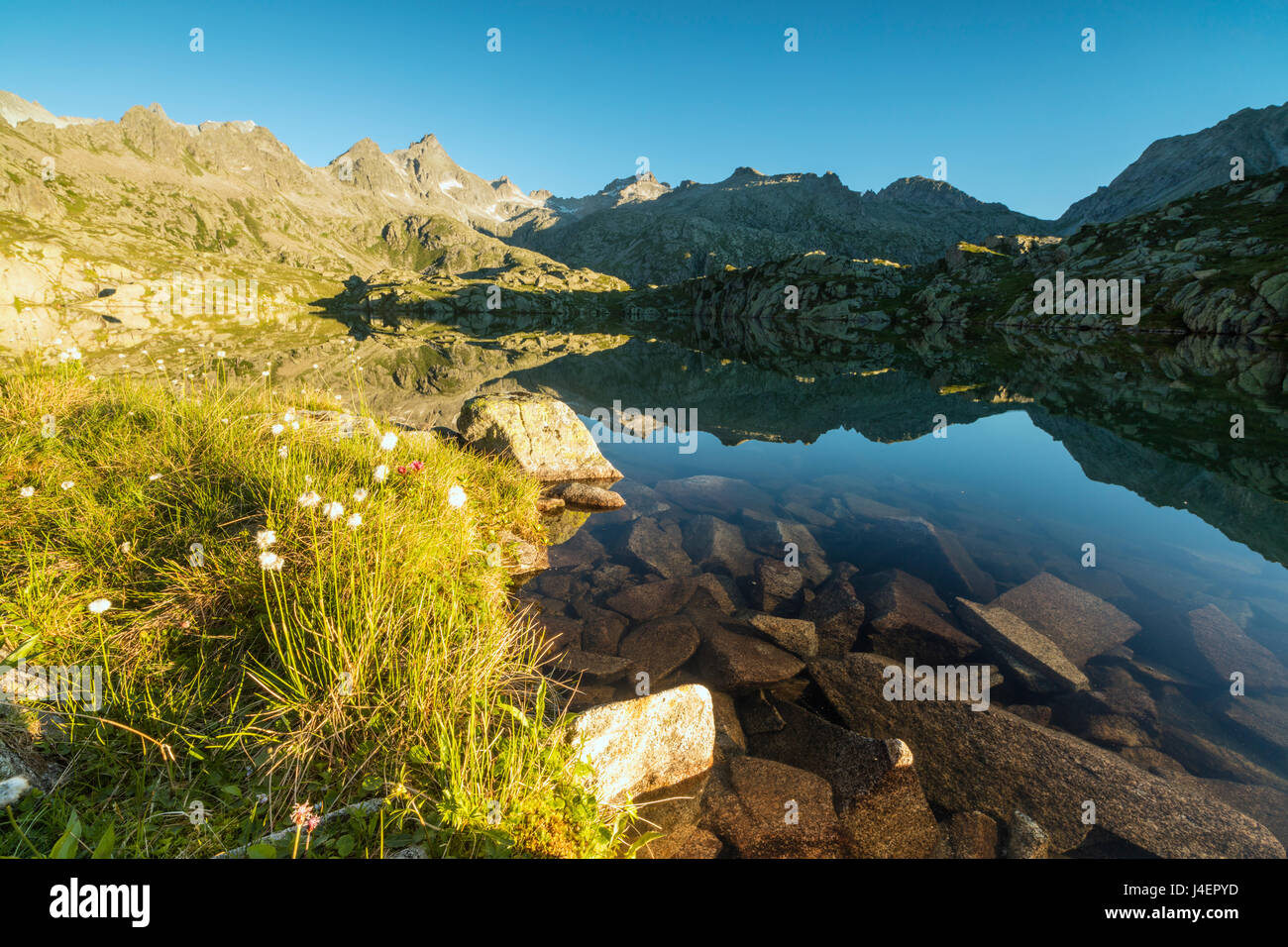 The rocky peaks reflected in Lago Nero at dawn, Cornisello, Pinzolo, Brenta Dolomites, Trentino-Alto Adige, Italy, Europe Stock Photo