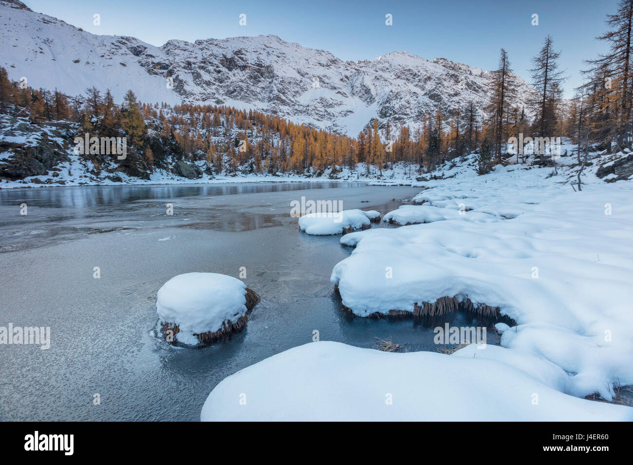 Red larches frame the frozen Lake Mufule, Malenco Valley, Province of Sondrio, Valtellina, Lombardy, Italy, Europe Stock Photo
