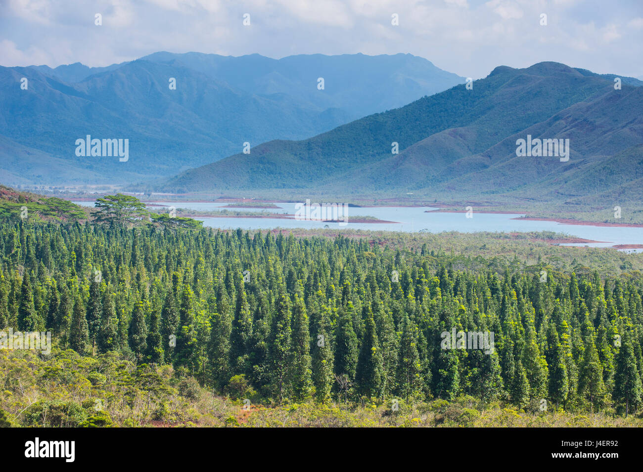 View over the Blue River Provincial Park, Yate, New Caledonia, Pacific Stock Photo
