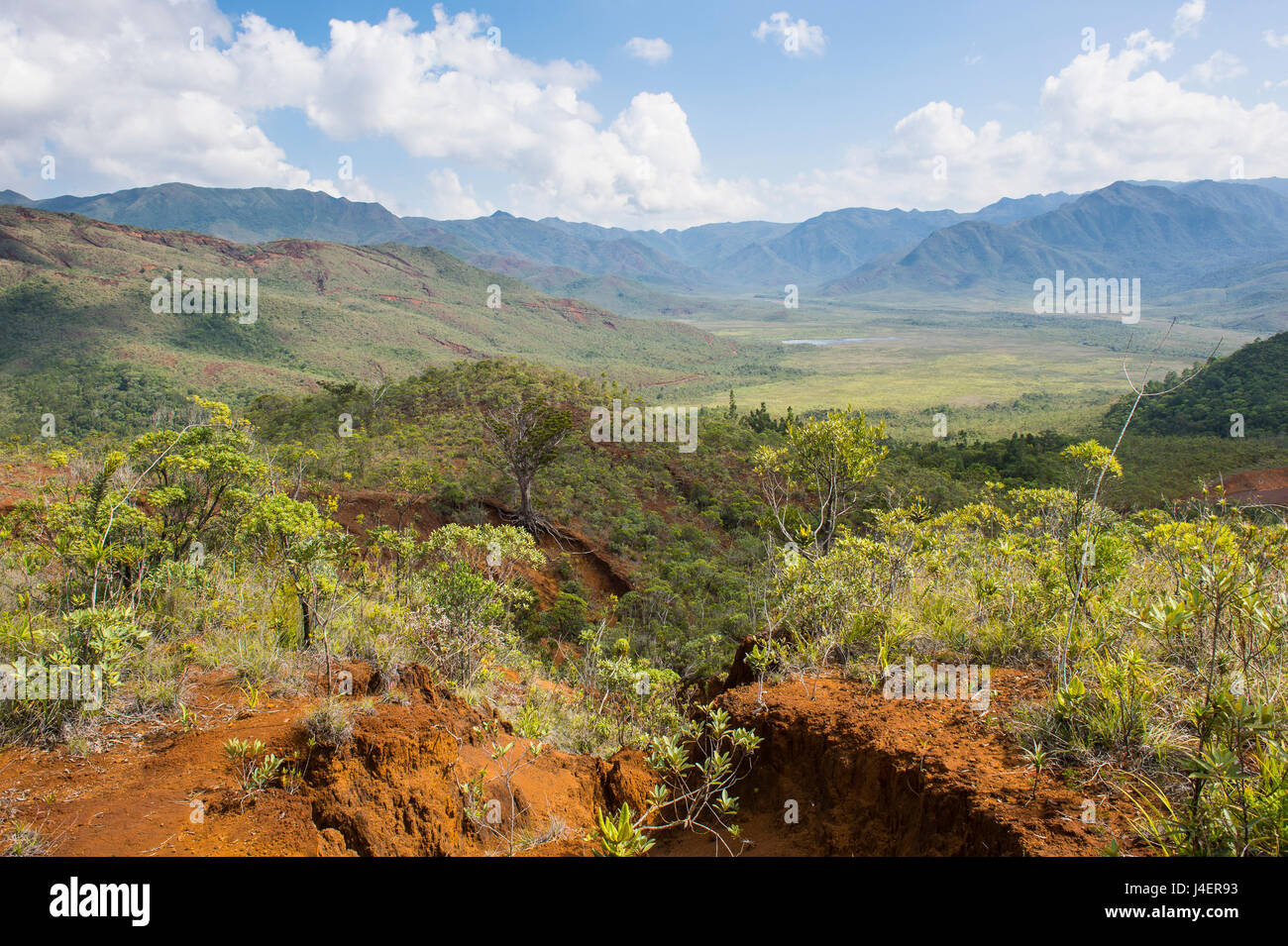 View over the Blue River Provincial Park, Yate, New Caledonia, Pacific Stock Photo