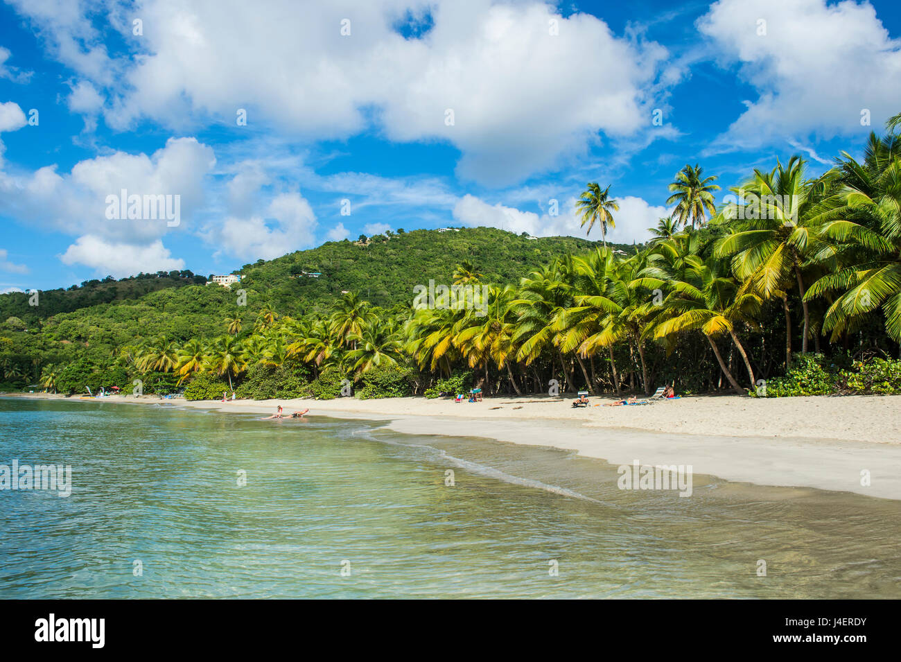 Brewers Bay, Tortola, British Virgin Islands, West Indies, Caribbean, Central America Stock Photo