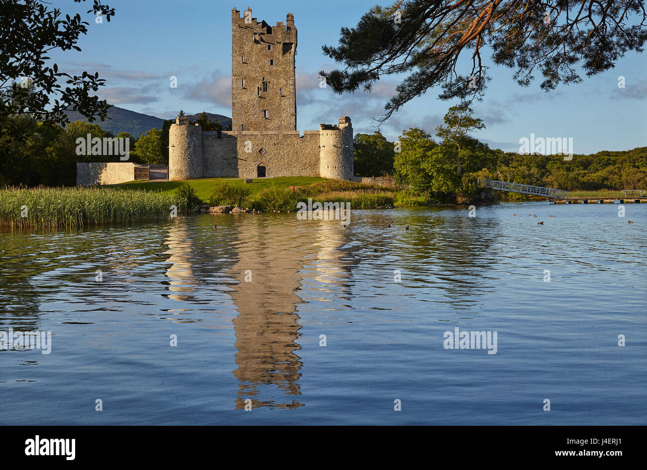 Ross Castle, on the shore of Lough Leane, Killarney National Park, Killarney, County Kerry, Munster, Republic of Ireland, Europe Stock Photo