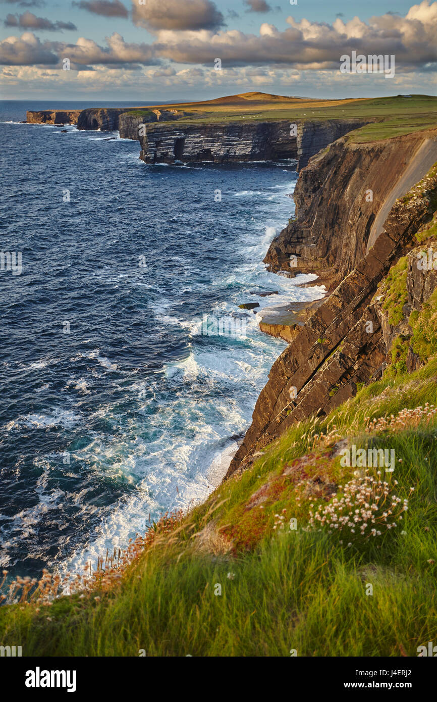 The cliffs at Loop Head, near Kilkee, County Clare, Munster, Republic of Ireland, Europe Stock Photo