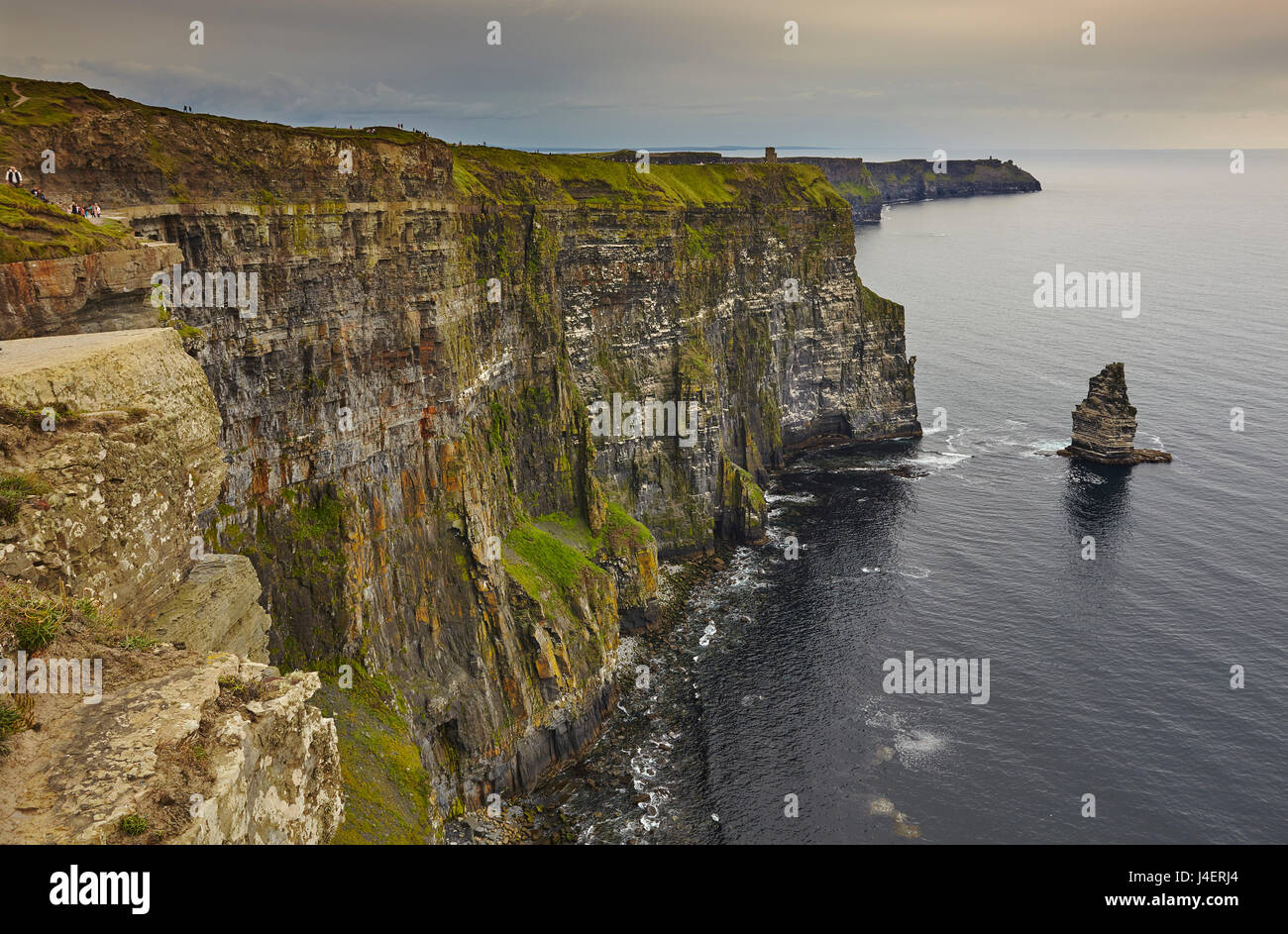 The Cliffs of Moher, near Lahinch, County Clare, Munster, Republic of Ireland, Europe Stock Photo