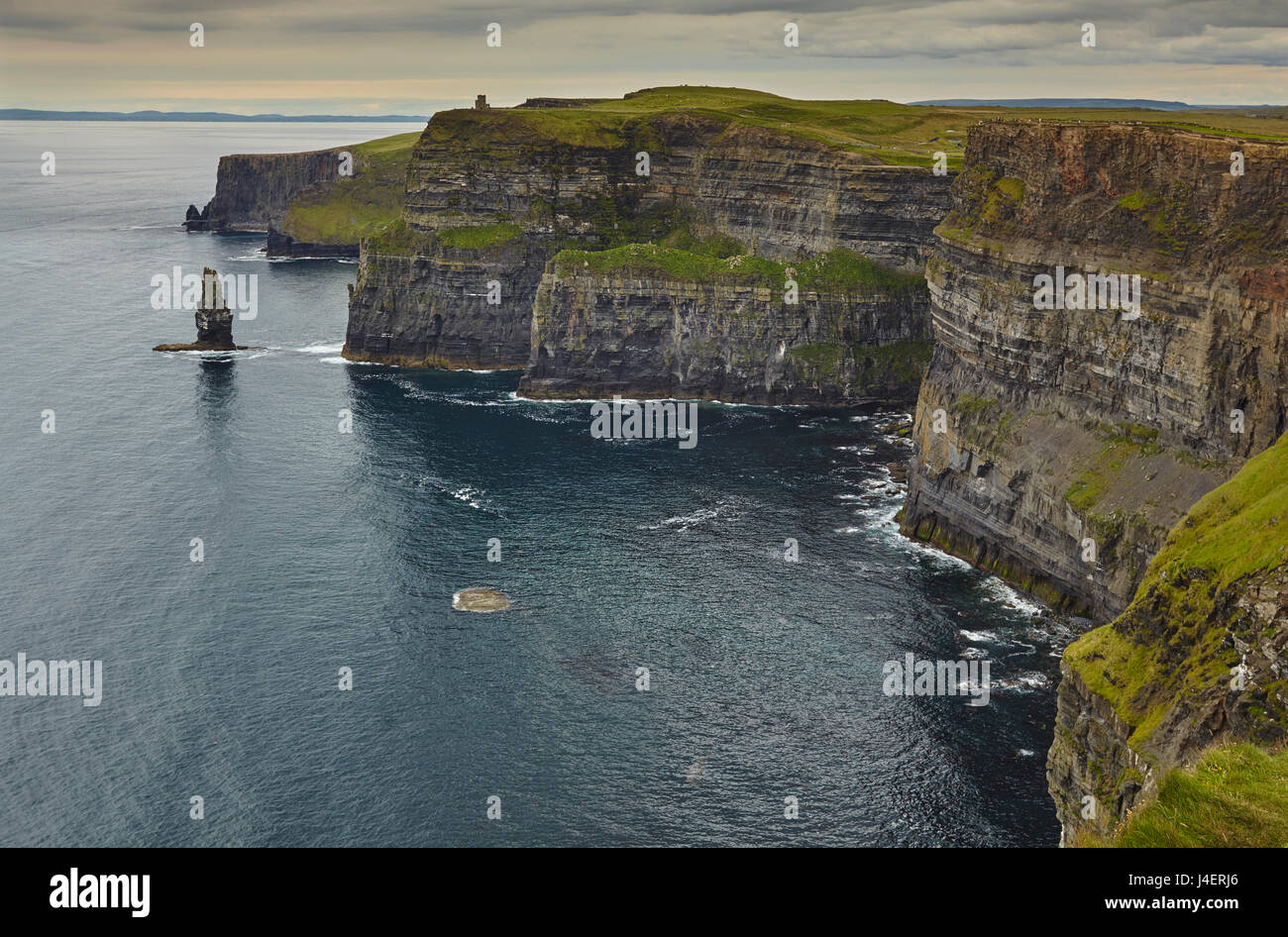 The Cliffs of Moher, near Lahinch, County Clare, Munster, Republic of Ireland, Europe Stock Photo