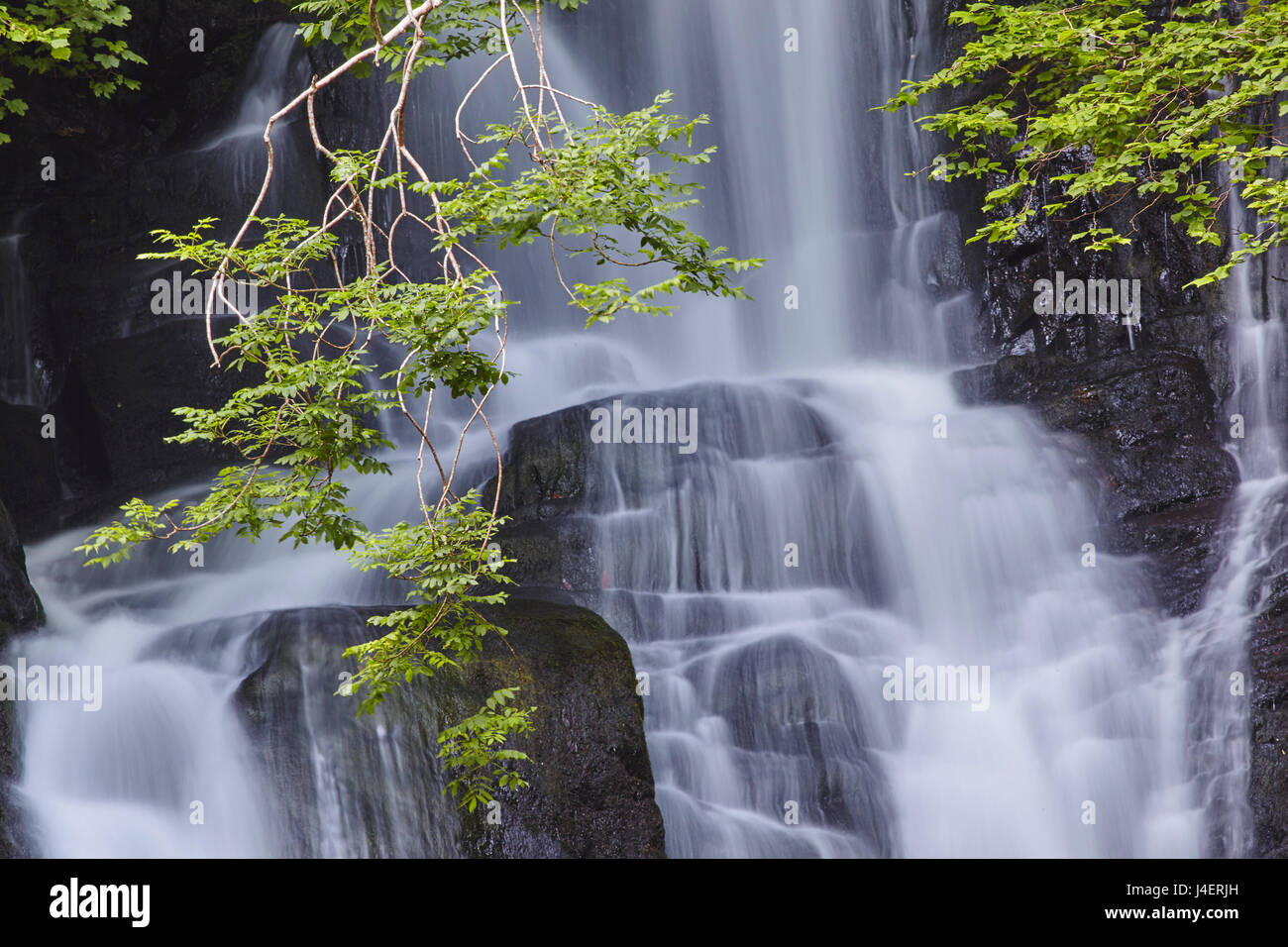 Torc Waterfall, Killarney National Park, near Killarney, County Kerry, Munster, Republic of Ireland, Europe Stock Photo