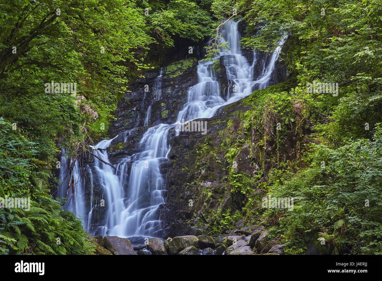 Torc Waterfall, Killarney National Park, near Killarney, County Kerry, Munster, Republic of Ireland, Europe Stock Photo