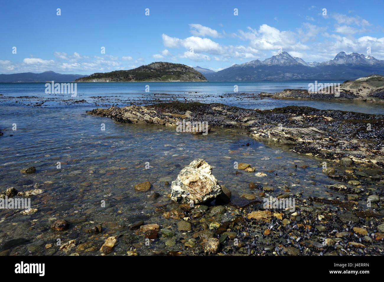 Coastal scene in the Tierra del Fuego National Park, Tierra del Fuego, Argentina, South America Stock Photo