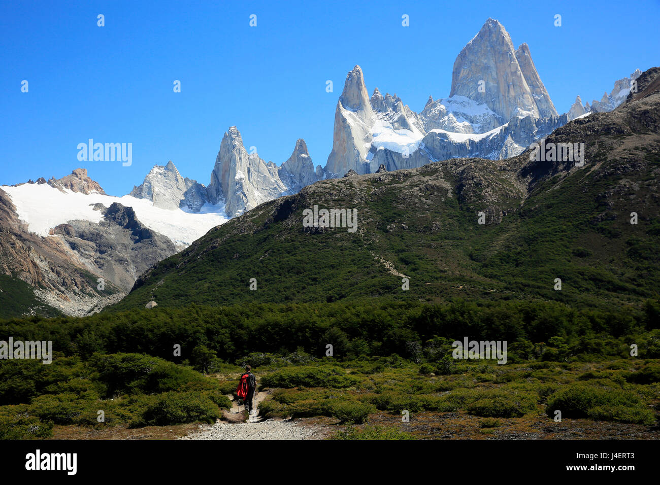 Trekking under Monte Fitz Roy, El Chalten, Argentine Patagonia, Argentina, South America Stock Photo