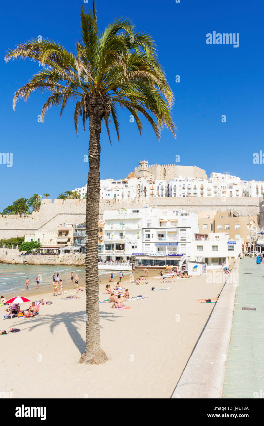 Papa Luna's Castle and old town overlooking the beach of Playa Norte, Peniscola, Spain Stock Photo