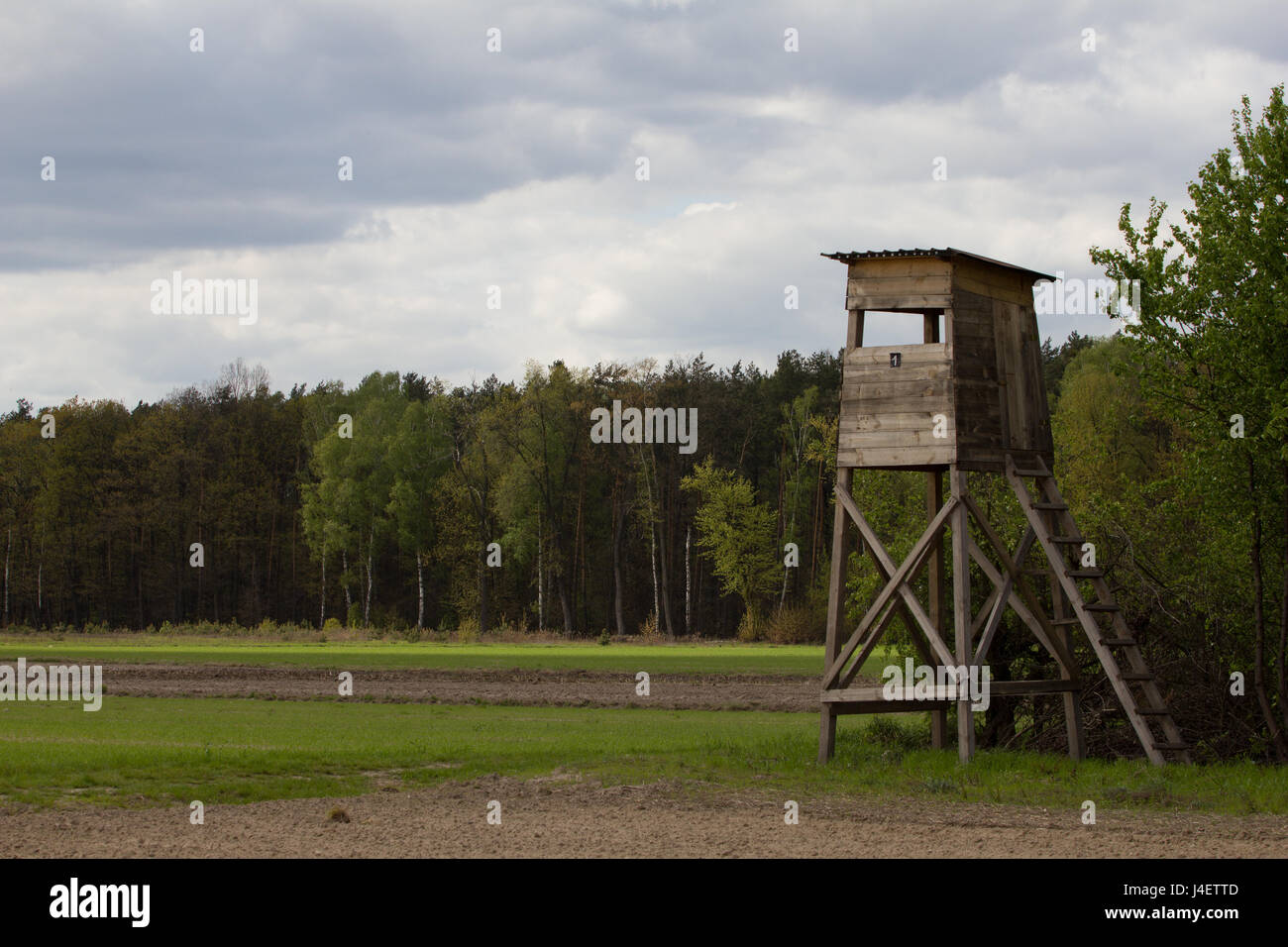 Hunter's watchtower at the wheat field. Early Spring. Cetral Poland ...
