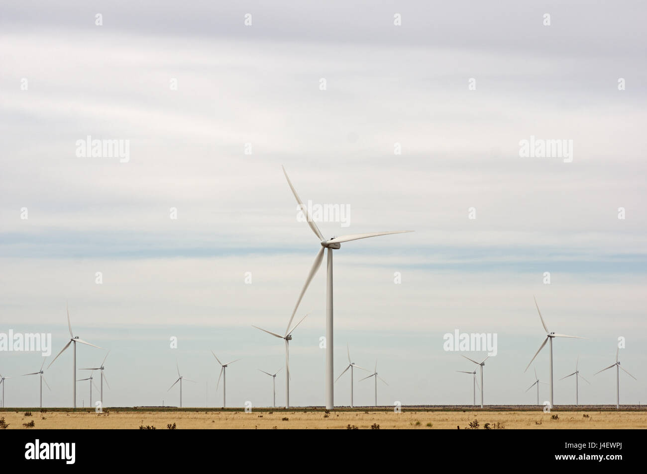 a west Texas field of wind turbines providing renewable energy Stock Photo Alamy