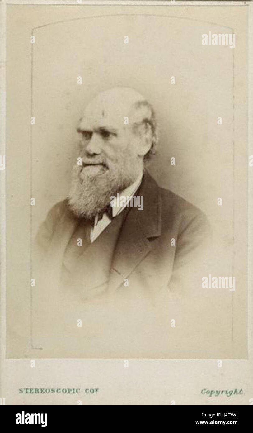 Charles Darwin photograph  after Ernest Edwards  circa 1866 Stock Photo