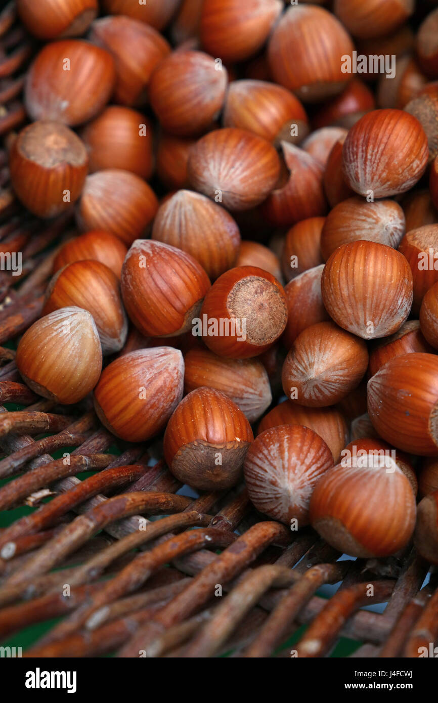 Whole big brown filbert hazelnuts with shell close up in wicker wooden rustic basket, high angle view Stock Photo